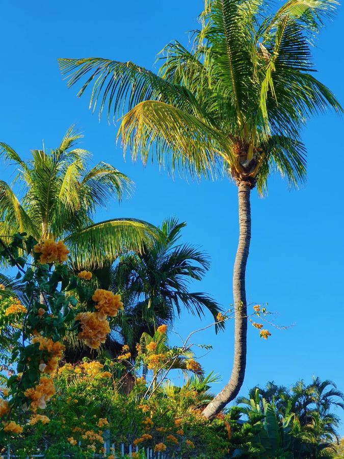 Malvilla Pereybere Beach Exteriör bild